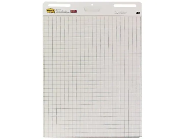 Meeting Chart, Ft 63,5 X 77,5 Cm, Geruit, 30 Vel, Pak Van 2 Blokken