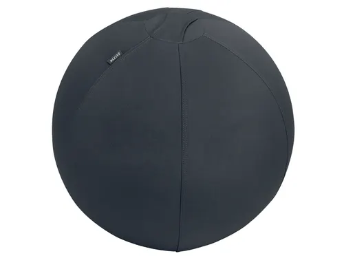 Leitz Ergo Actieve Zitbal anti-rol 55cm Donkergrijs