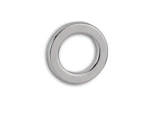 Neodymium Ringmagneet 12mm 0.5kg 10 Stuks