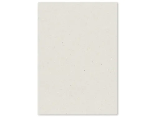 Kopieerpapier PaperWise A4 Natural 72 gram doos a 5 pakken