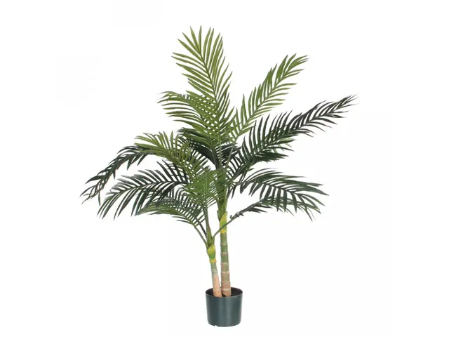 Palm Areca Golden Cane 120 cm