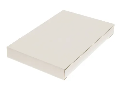 brievenbusdoos Raadhuis 255x170x28mm wit 650grs duplex 5 stuks