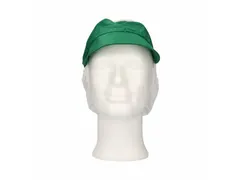 Pet met klep en haaropvang maat L Polyester Kroon Groen 100 stuks