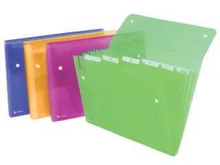 Sorteermap Rexel Ice 6 Vaks Assorti - 1