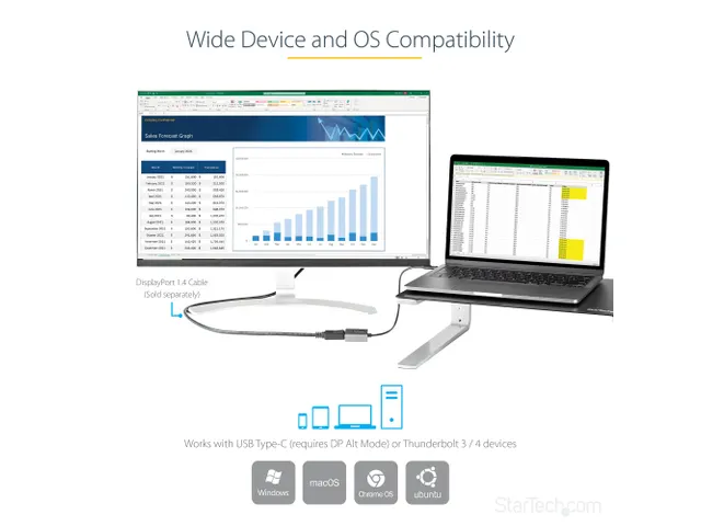 USB C naar DisplayPort Adapter - 8K/4K 60Hz USB-C naar DisplayPort 1.4