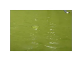 Klasseerdoos 1928 rug 40mm geass. - 20