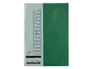 Kopieerpapier Papicolor A4 200gr 6 vel dennengroen - 2