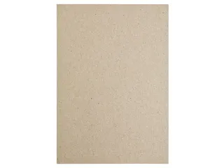 Kopieerpapier Papicolor A4 100gr 12 vel kraft grijs - 3