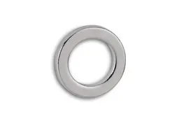 Neodymium Ringmagneet 12mm 0.5kg 10 Stuks