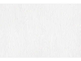 Crêpepapier Folia 50x250cm 10vel 100 wit - 3