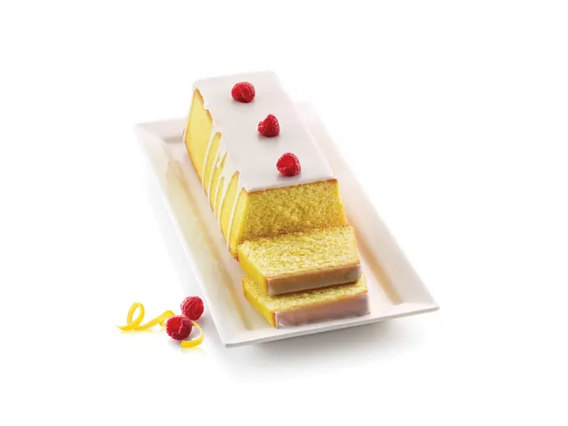 Silikomart Siliconen cakevorm UNI-FLEX Plum Cake SFT331