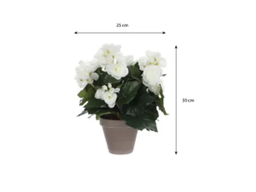 Kunstplant Mica Begonia wit in pot Stan grijs 25x30cm