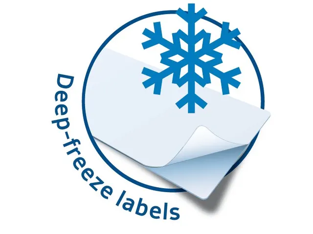 HERMA 4388 Diepvries etiketten A4 38.1x21.2mm Wit 1625 stuks