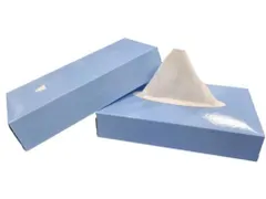 Facial tissues 2-laags cellulose wit 21x20cm 40x100 Stuks