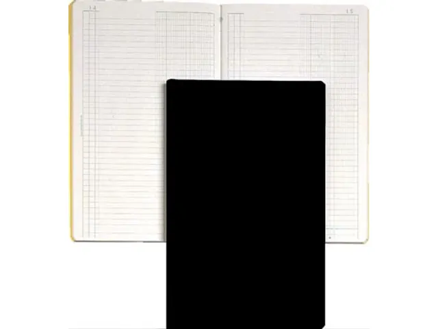 journaal, ft 32 x 19,5 cm, Nederlandstalig