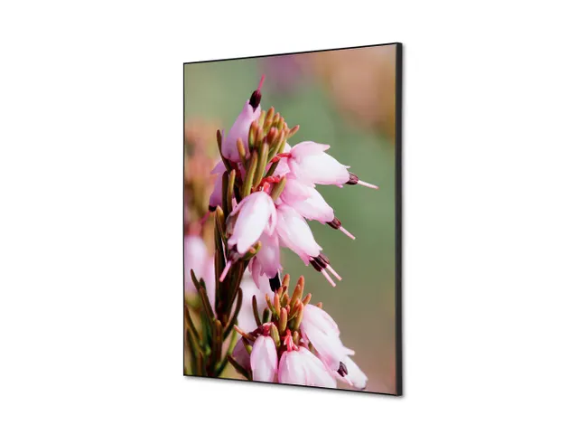 Wanddecoratie Textiel Set A2 Roze Bloem Erica