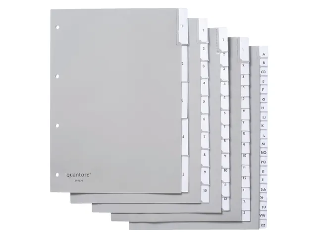 Tabbladen Quantore A4 4-Gaats 20-Delig Met Venster Grijs Pp