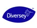 Diversey 3305/047 Gasket set
