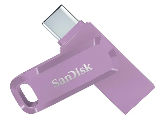 SanDisk Ultra Dual Drive Go USB 256GB USB flash drive Lavendel