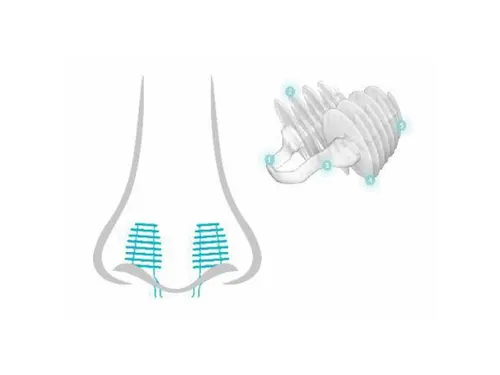 Nosa Neusplug menthol 50 Stuks