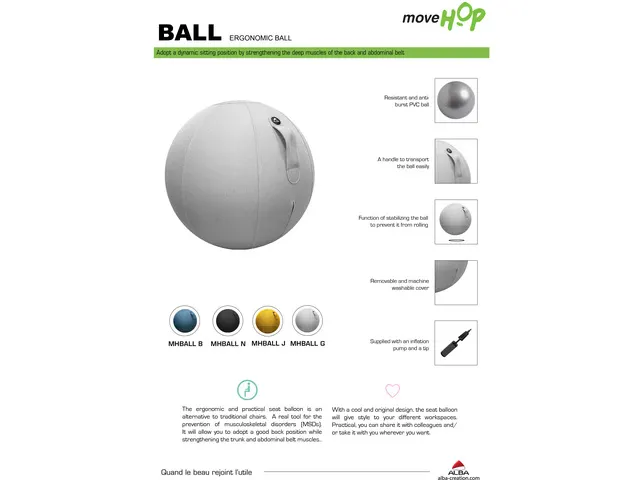 Ergoball ergonomische zitbal grijs Ø 65 cm.