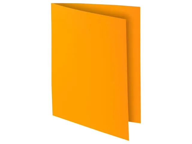 Pak van 50 dossiermappen ROCK''S 220 24x32cm Assorti