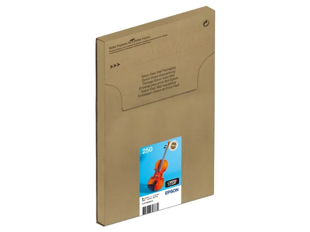 Inktcartridge Epson 250 T16N84 zwart + 5 kleuren Easymail