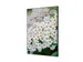 Wanddecoratie Textiel Set A2 Witte Bloem Spirea