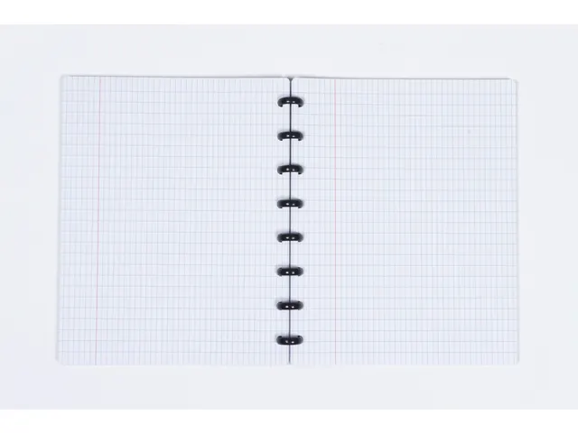 Schrift Kangaro 169x213mm ruit 4x8mm 90g 12 stuks assorti 3 kleuren