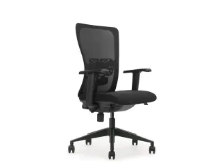 Ergonomische Bureaustoel Arbo Goedgekeurd NEN-EN 1335 Zwart Net Rug - 1