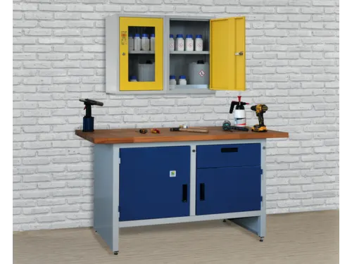 milieu-wandkast,v. aquatox. stoffen,HxBxD 600x400x300mm,vensterdeur