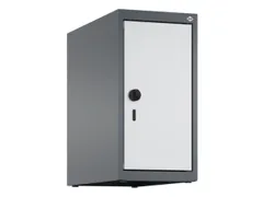 opzetkast,v. locker,1vak.,vak B 250mm,HxBxD 500x250x500mm,vleugeldeur