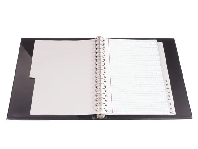 Ringbandinterieur Multo A5 17r ruit 5mm 90 grams 50 vel