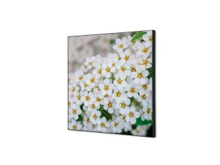 Wanddecoratie Textiel Set 40x40cm Witte Bloem Spirea - 1
