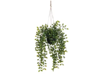 Kunstplant Mica Ficus hangend in pot groen 20x46cm - 1