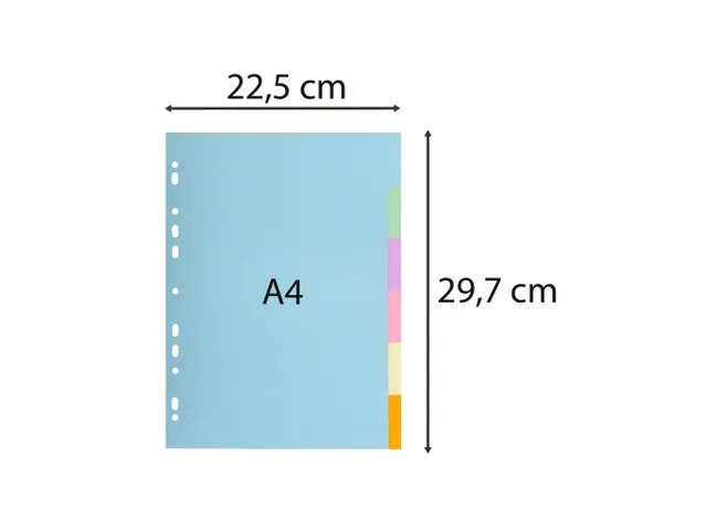 Tabblad karton 180g Forever 6-delig A4 Pastel Assorti