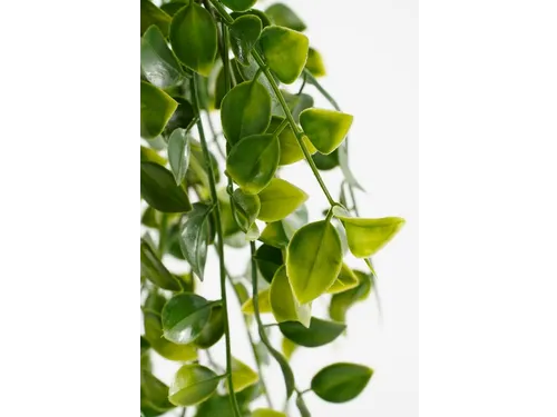 Kunstplant Mica Ficus hangend in pot groen 20x46cm
