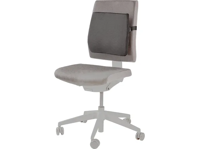 Coussin dorsal Fellowes Breyta Comfort noir