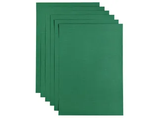 Kopieerpapier Papicolor A4 100gr 12 vel dennengroen - 1