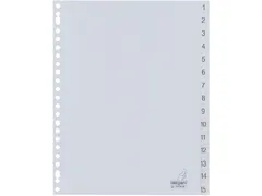 Tabbladen Kangaro A4 23-Gaats G415CM 1-15 Genummerd Grijs Pp