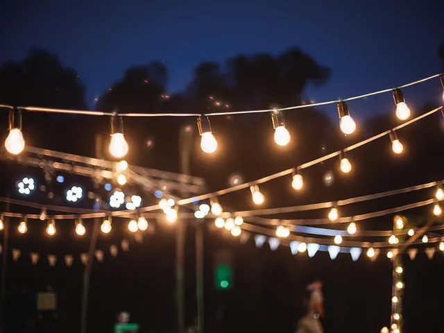 Tuya LED - 15m - 15 Lampes Blanches - càble Noir - Smart