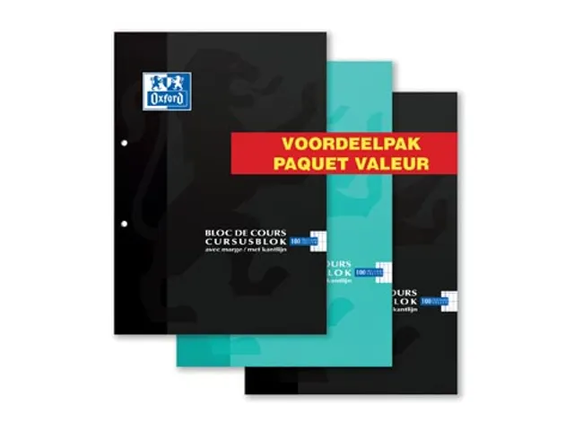 Cursusblok Commercieel geruit A4 assorti kleuren 3 stuks