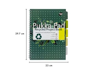 Projectboek Pukka Pad Recycled A4 lijn 5-tabs 4-gaats 200 pagina's 80g - 4