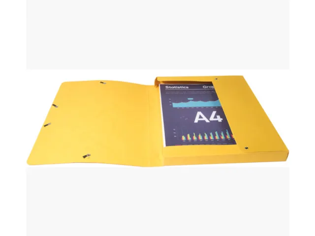 Elastobox Exacompta A4 25mm 600gr assorti karton