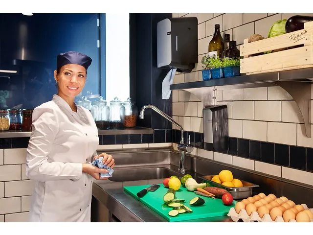 CMT Quartz Midirol Dispenser Centerfeed Kunststof Zilver