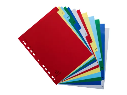 Bedrukte Tabbladen A4+ Jan-dec Assorti Pp 0.12mm 12-delig 11-gaats(FR)