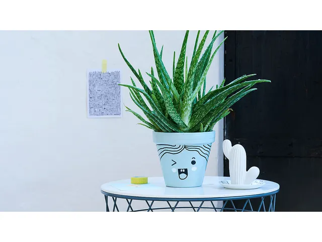 Viltstift Edding 750 Lakmarker Rond 2-4mm Zwart