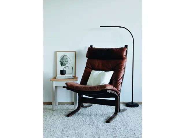 Vloerlamp MAUL Pirro LED dimbaar zwart