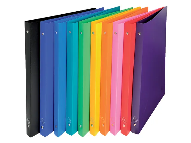 Ringband Exacompta 4-Rings A4 15Mm Pp Blauw