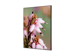 Wanddecoratie Textiel Set A2 Roze Bloem Erica